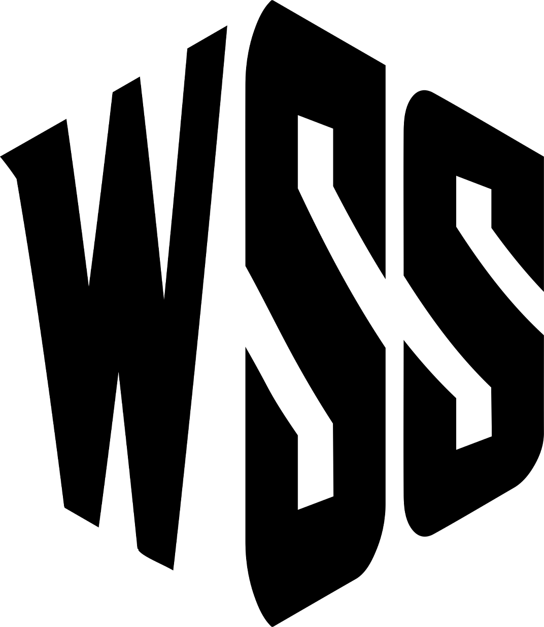WSSARIZONA